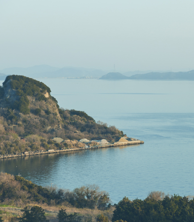TESHIMA