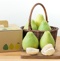 斗六嘉東老欉文旦禮盒介紹