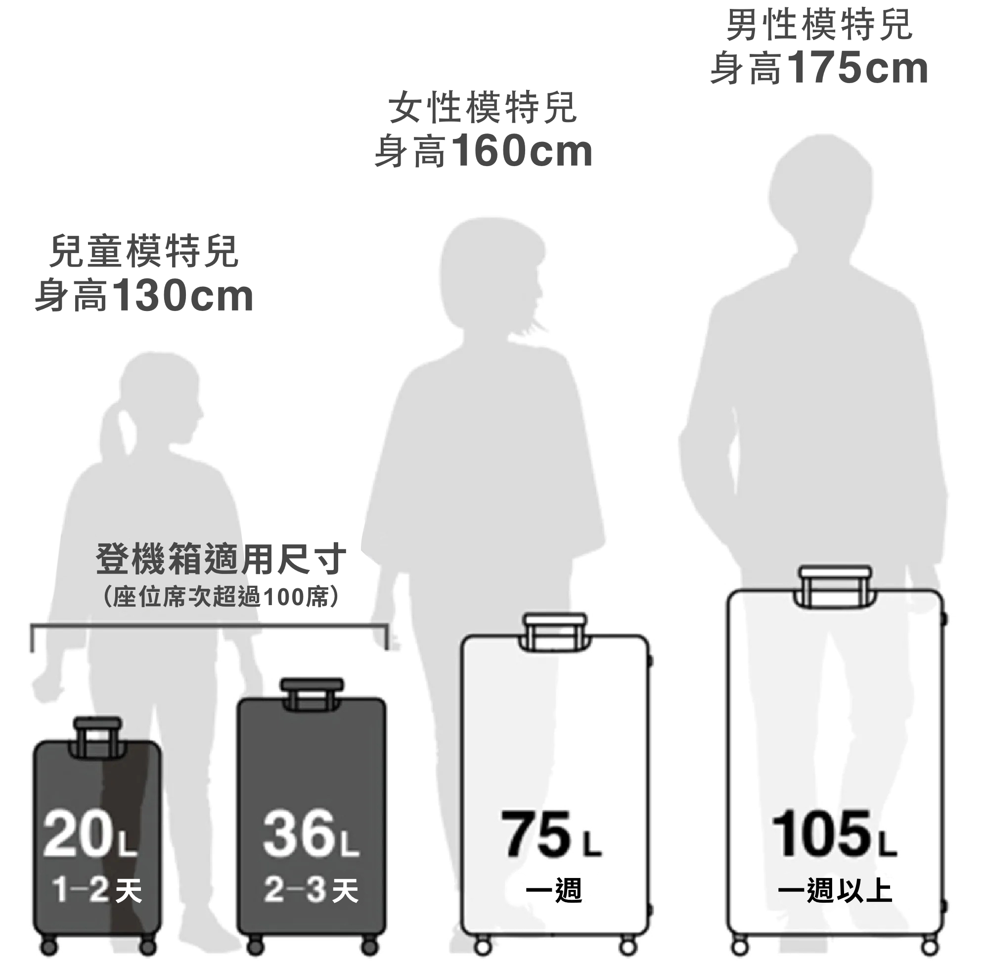 可從4個尺寸中挑選。