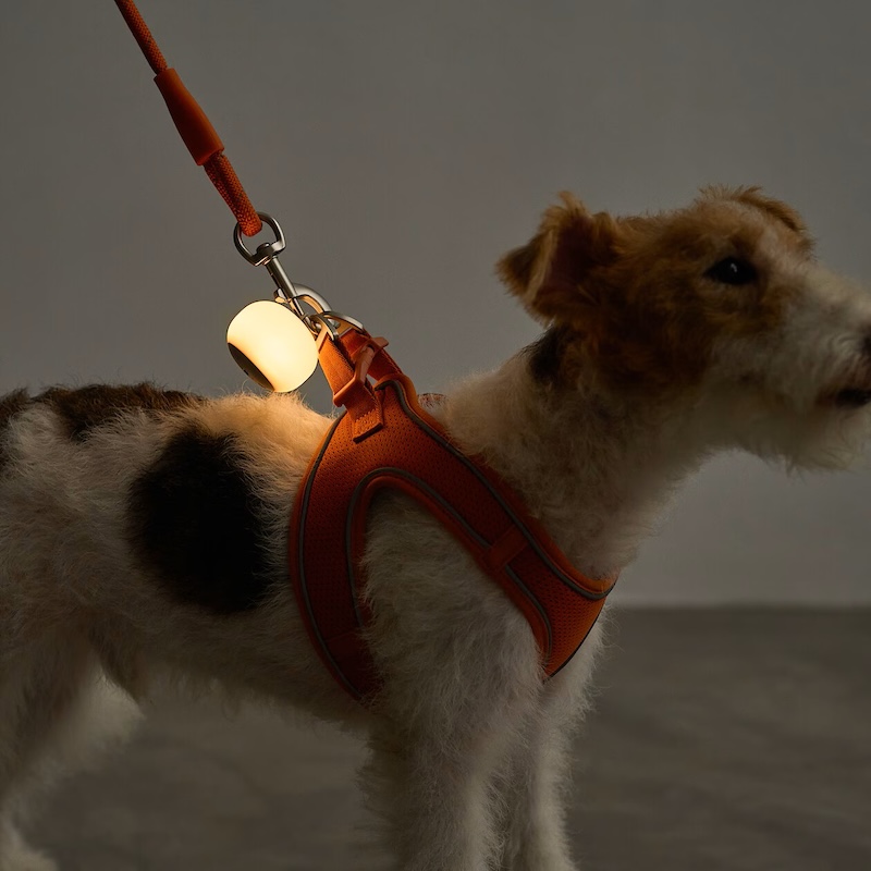 充電式矽膠燈